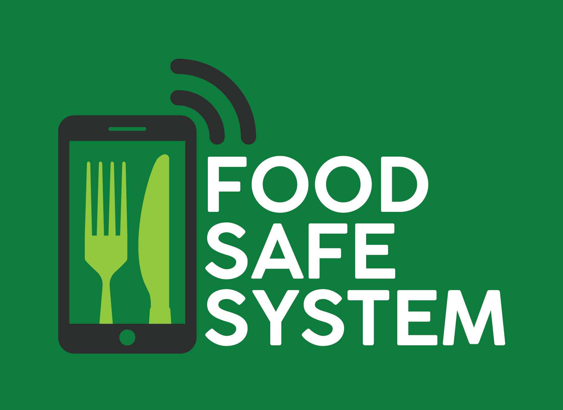 Safe System Security